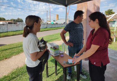 En Rojas: Nueva jornada de vacunación antirrábica de mascotas, en espacios públicos