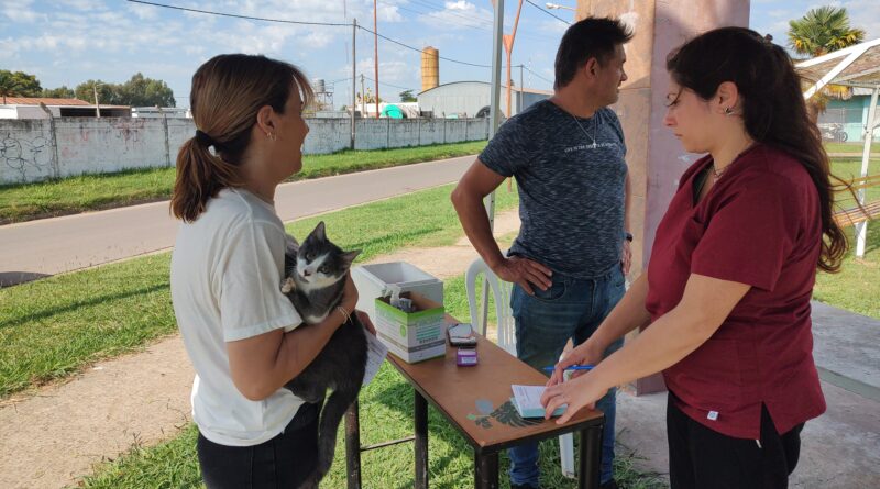 En Rojas: Nueva jornada de vacunación antirrábica de mascotas, en espacios públicos