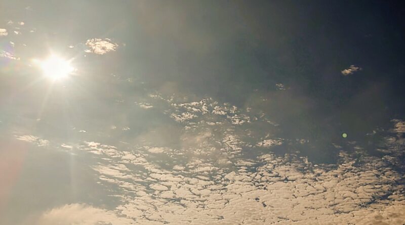 Q.E.P.D. + María Fernanda Soto +