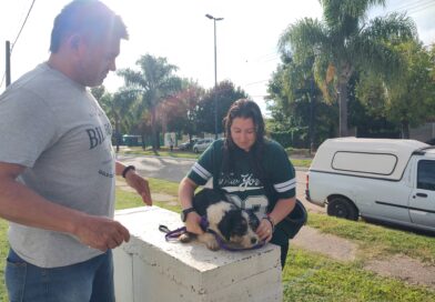 Nueva jornada de vacunación antirrábica gratuita de mascotas, en espacios públicos de la ciudad de Rojas