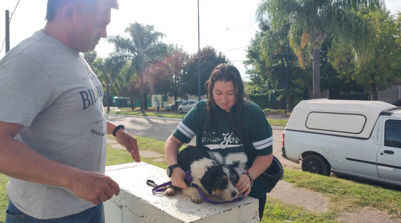 Nueva jornada de vacunación antirrábica gratuita de mascotas, en espacios públicos de la ciudad de Rojas