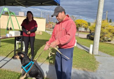 En Rojas: Nuevas jornadas de vacunación antirrábica de mascotas, en espacios públicos