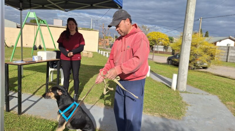 En Rojas: Nuevas jornadas de vacunación antirrábica de mascotas, en espacios públicos